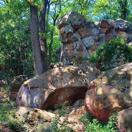 Prázdninový dům Un Pied Dans La Foret La Capelle-et-Masmolene