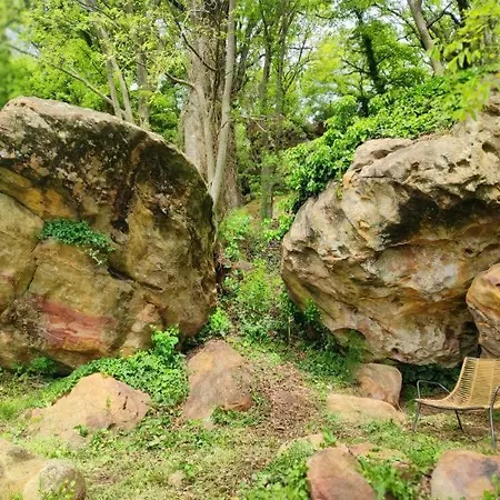 Prázdninový dům Un Pied Dans La Foret